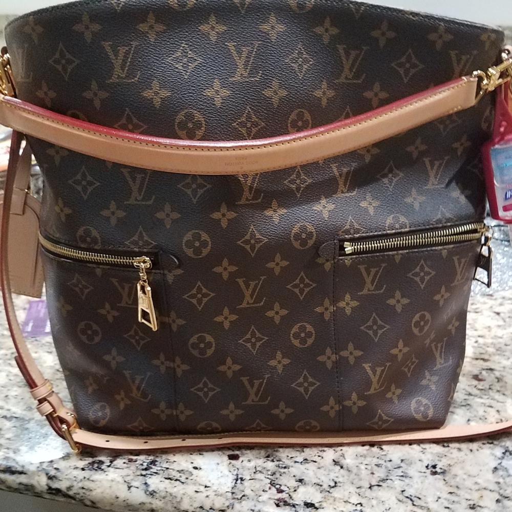 Louis Vuitton Monogram Melie Hobo Shoulder Bag